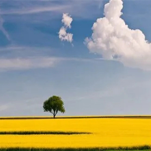 拉赫玛尼诺夫第三协奏曲第三乐章钢琴谱