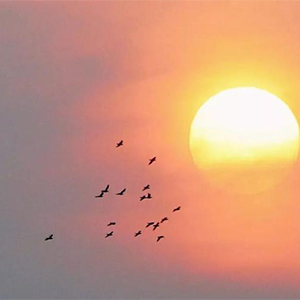 黄昏之时钢琴谱