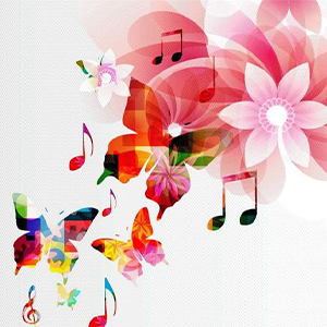 Hawaii Five 0钢琴谱