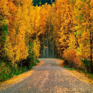 拉赫玛尼诺夫第一钢琴协奏曲op.1钢琴谱