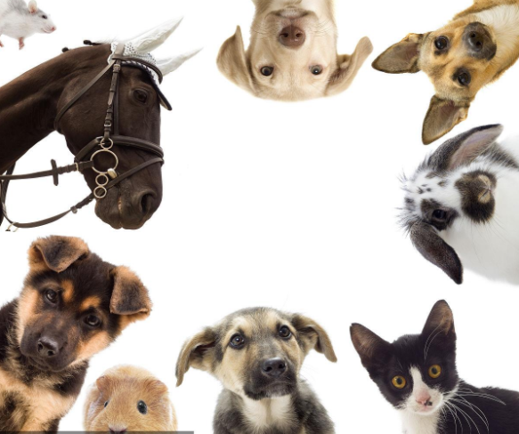 我们不是还有一切吗钢琴谱