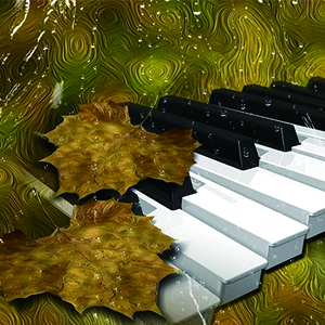 匈牙利舞曲第五号钢琴谱