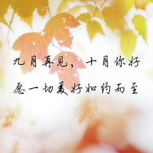Ÿ-븪һ-C-и