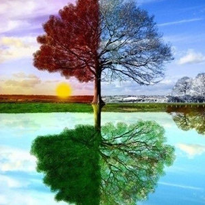 被秘匿的四季钢琴谱