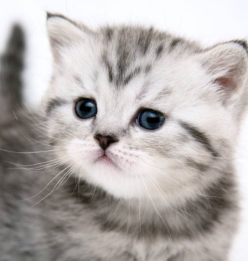 Feel your heart钢琴谱