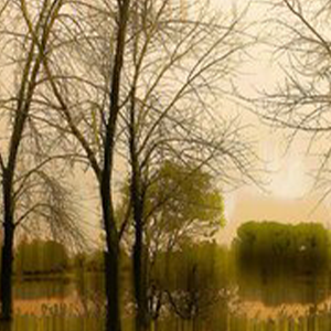 Down By The Riverside钢琴谱