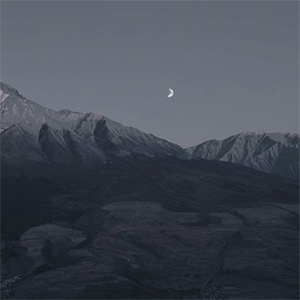 ߸--C-ٵ