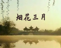 ̻¸׸ټ