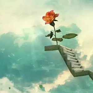 -ܽ-F-ٵ
