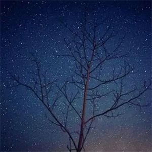 Ѳθ-С-C-и