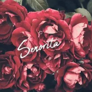 Senorita-տ-C-ٵ