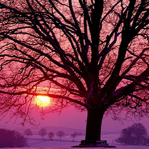 ĵӰ-ܽ-E-ٵ