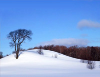 The-First-Snowflakes׸