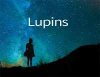 Lupins׸ټ