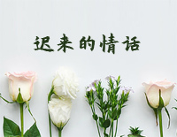 黰׸ټ-ż--иټ