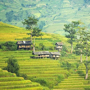 Сʱ