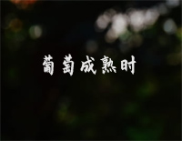 ѳʱ׸ټ