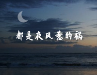 ҹǵĻ׸ټ