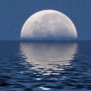 月亮巴巴钢琴谱