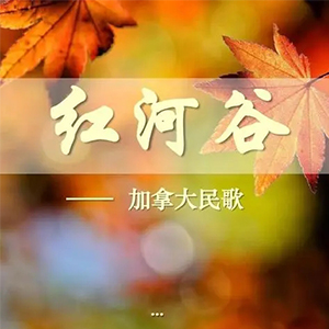 ӹȸ