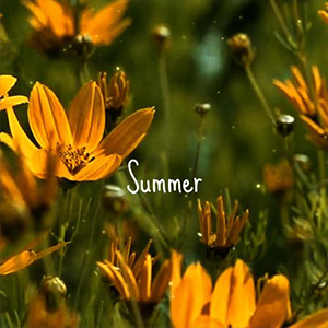 The Nature.seasons summer-ʮ޺-E-и