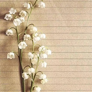 Ů˻+ũ-Ů˻+ũ-C-и