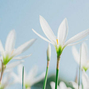 时光采样钢琴谱