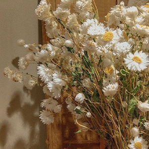 Kono Namida O Kimi Ni Sasagu钢琴谱