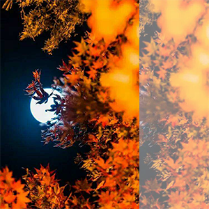 《风与秋夜》钢琴谱