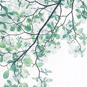 夜城随想钢琴谱