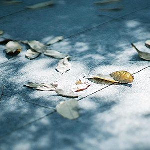 史上最疯狂曲钢琴谱