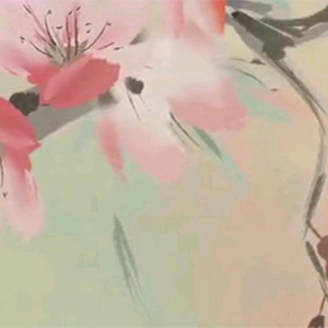 ˼
