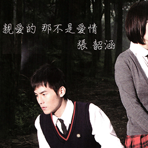 亲爱的那不是爱情钢琴谱