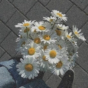 ɳ-Ԭӽ ܽ-F-и