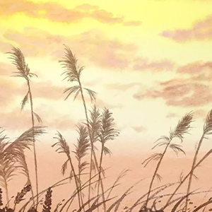 ͨٲ Op.45-» ʩ˹ ͨٲ Op.45-B-и