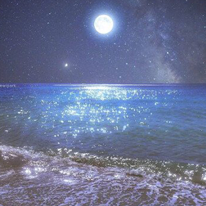 China-dance钢琴谱