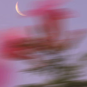 ˸