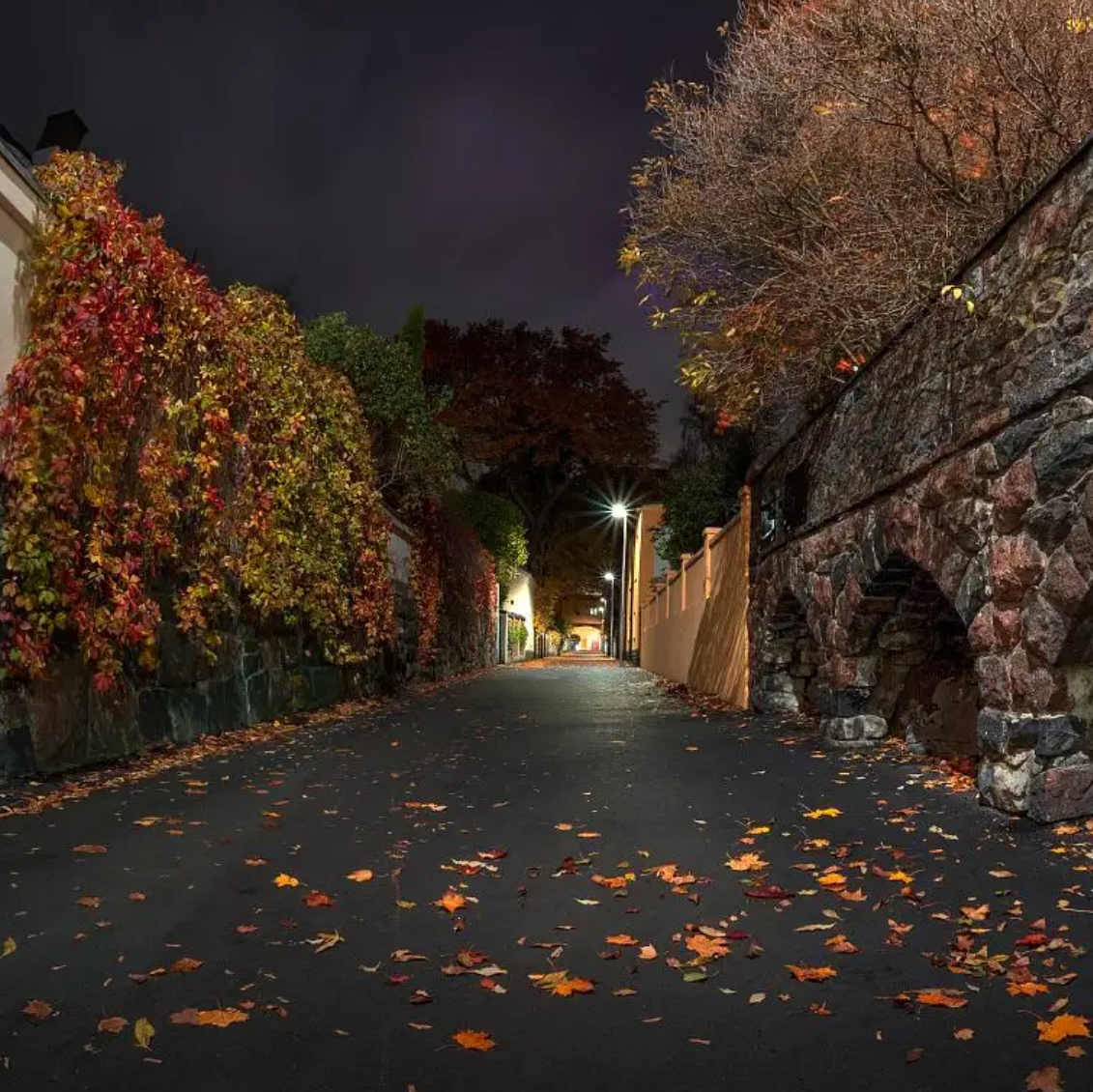 《风与秋夜》钢琴谱