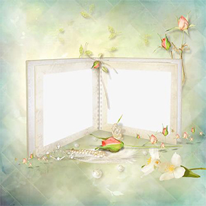 Ҳ޷-Project-D-и