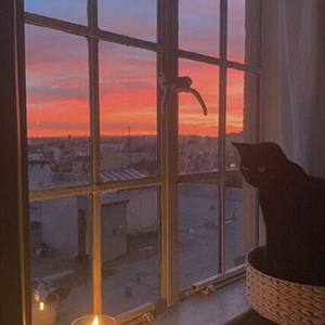֮