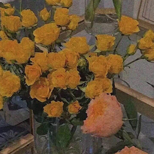 ͬһ׸