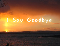 I-Say-Goodbye-Florian-Bur׸ټ-Florian Bur--иټ