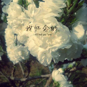 һĸ--C-и