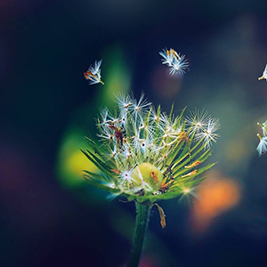 小调布鲁斯钢琴谱