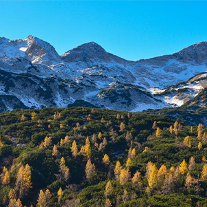 Beautiful Plateau--G-и