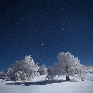 Winter Nights-Winter Nights-F-и