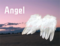 Angel-Finneas׸ټ