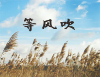 ȷ紵׸ټ