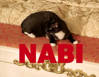 Ҹ׸ټ