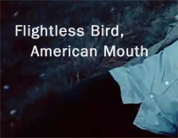 Flightless-Bird-American-Mouth׸ټ-Iron & Wine--иټ